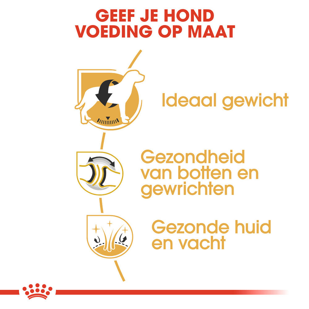 Royal Canin Labrador Retriever Adult - Hondenvoer