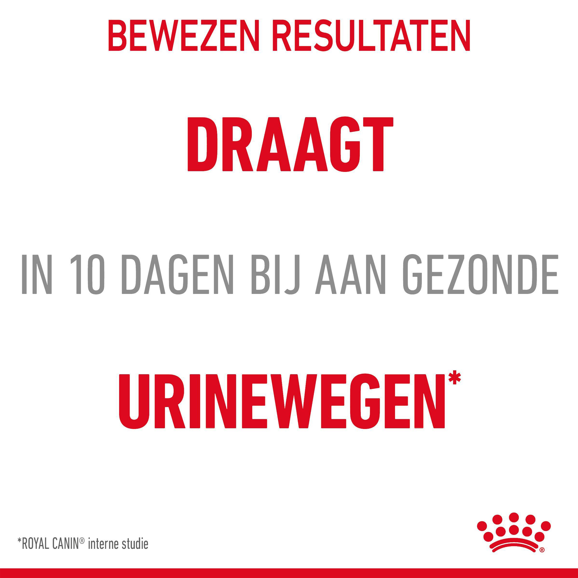 Royal Canin Urinary Care - Kattenvoer