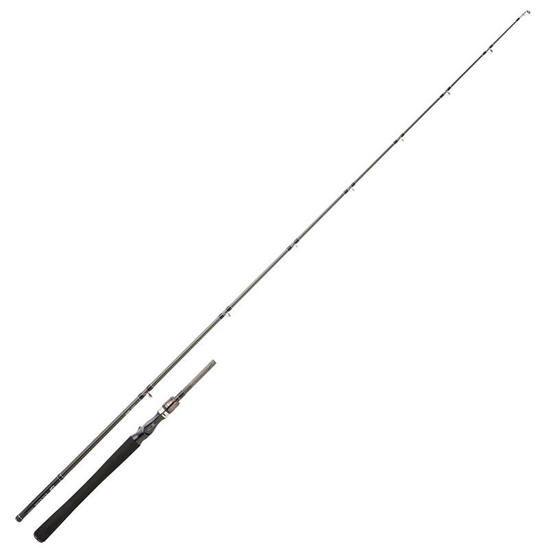 Canne Casting Daiwa Exceler Casting 1+1