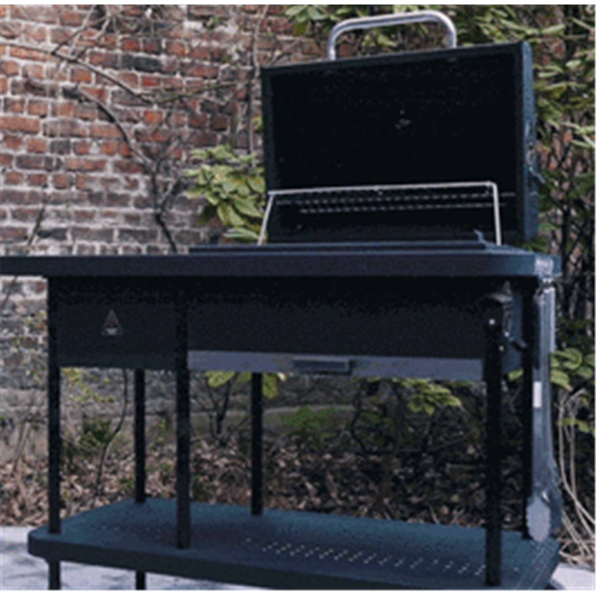 Barbecue charbon start'n'grill à allumage automatique