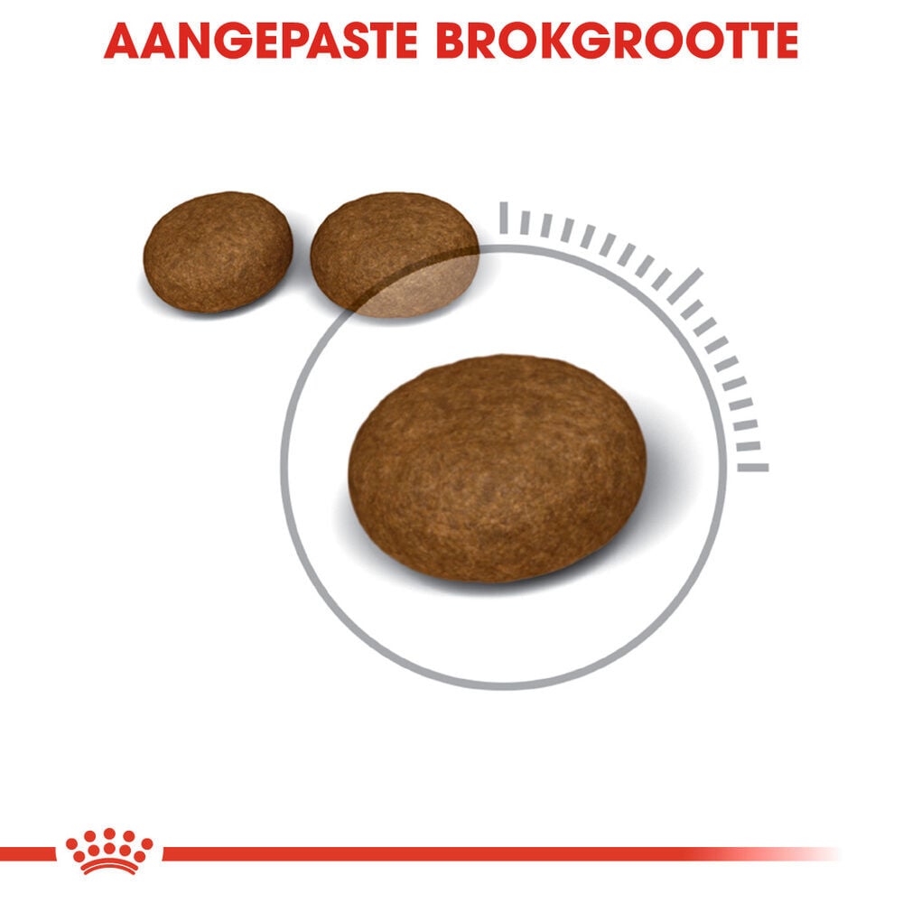 Royal Canin Hair & Skin Care - Kattenvoer - 2 Kilogram - Gevogelte