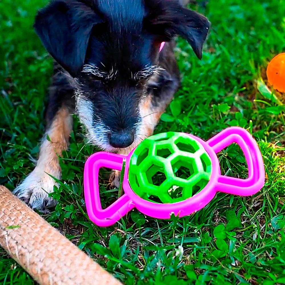 Jouet pour chiens en forme de bonbon, pa 6352, en caoutchouc thermoplastique, avec cloche interne