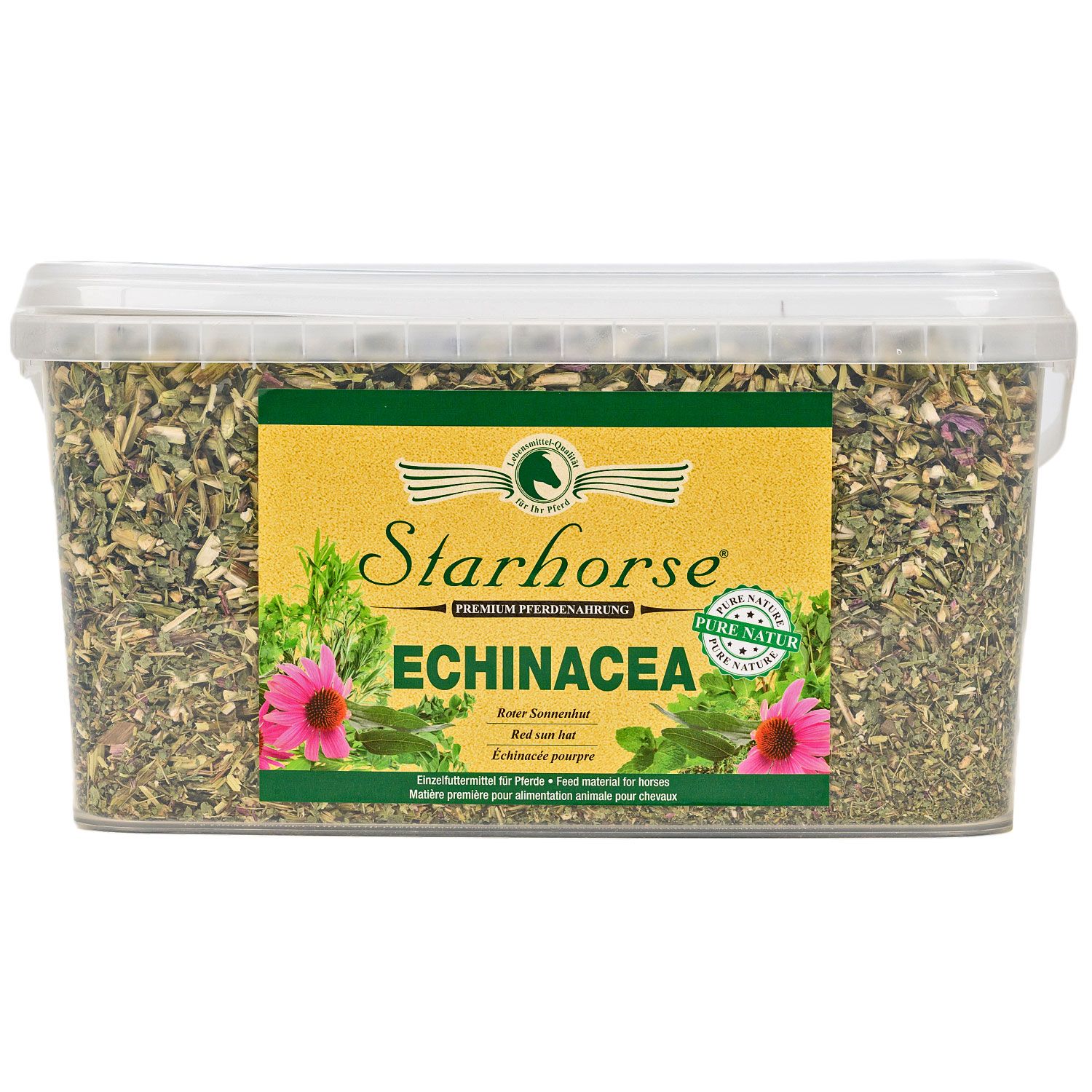 Starhorse Echinacea