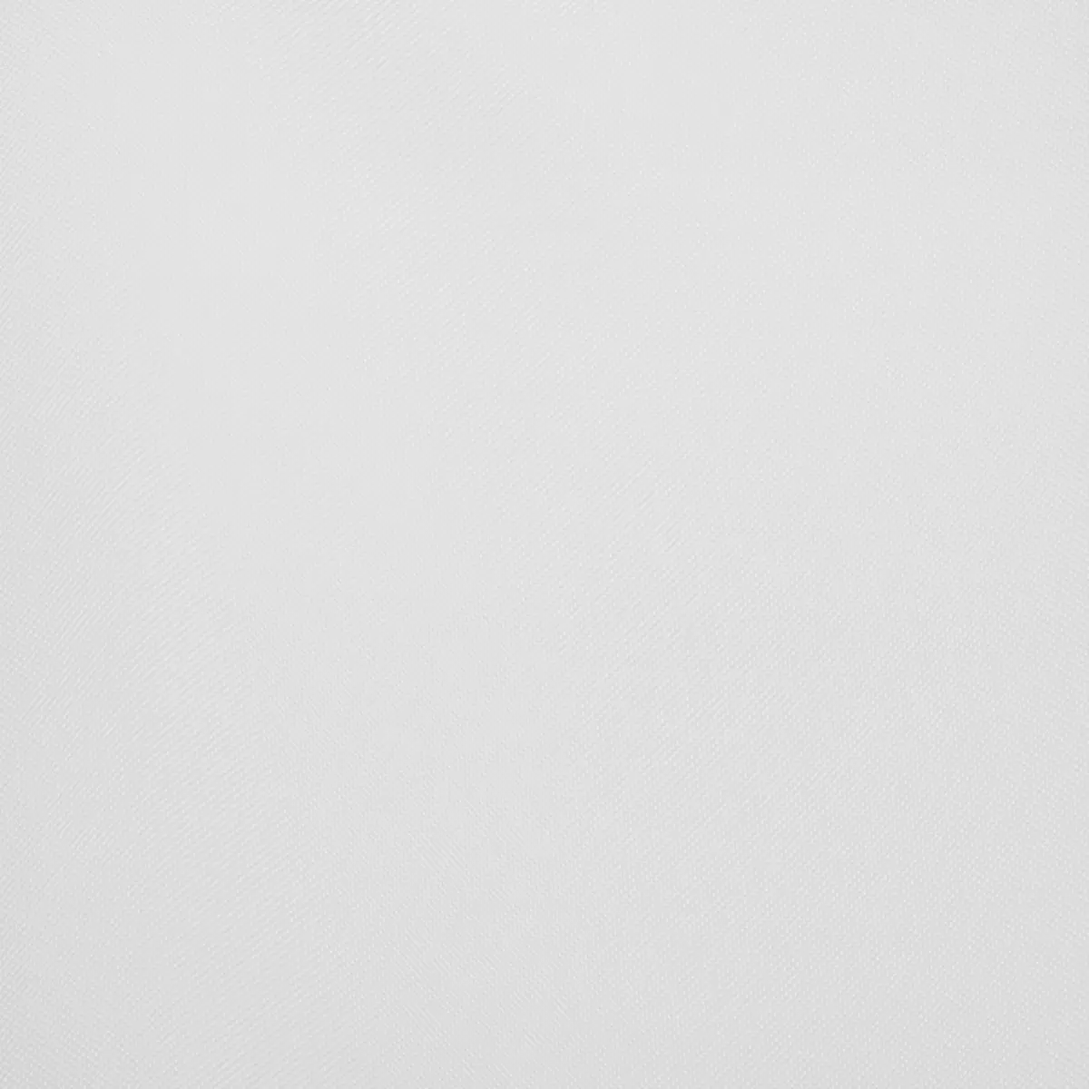 Tagvorhang Voile Beige