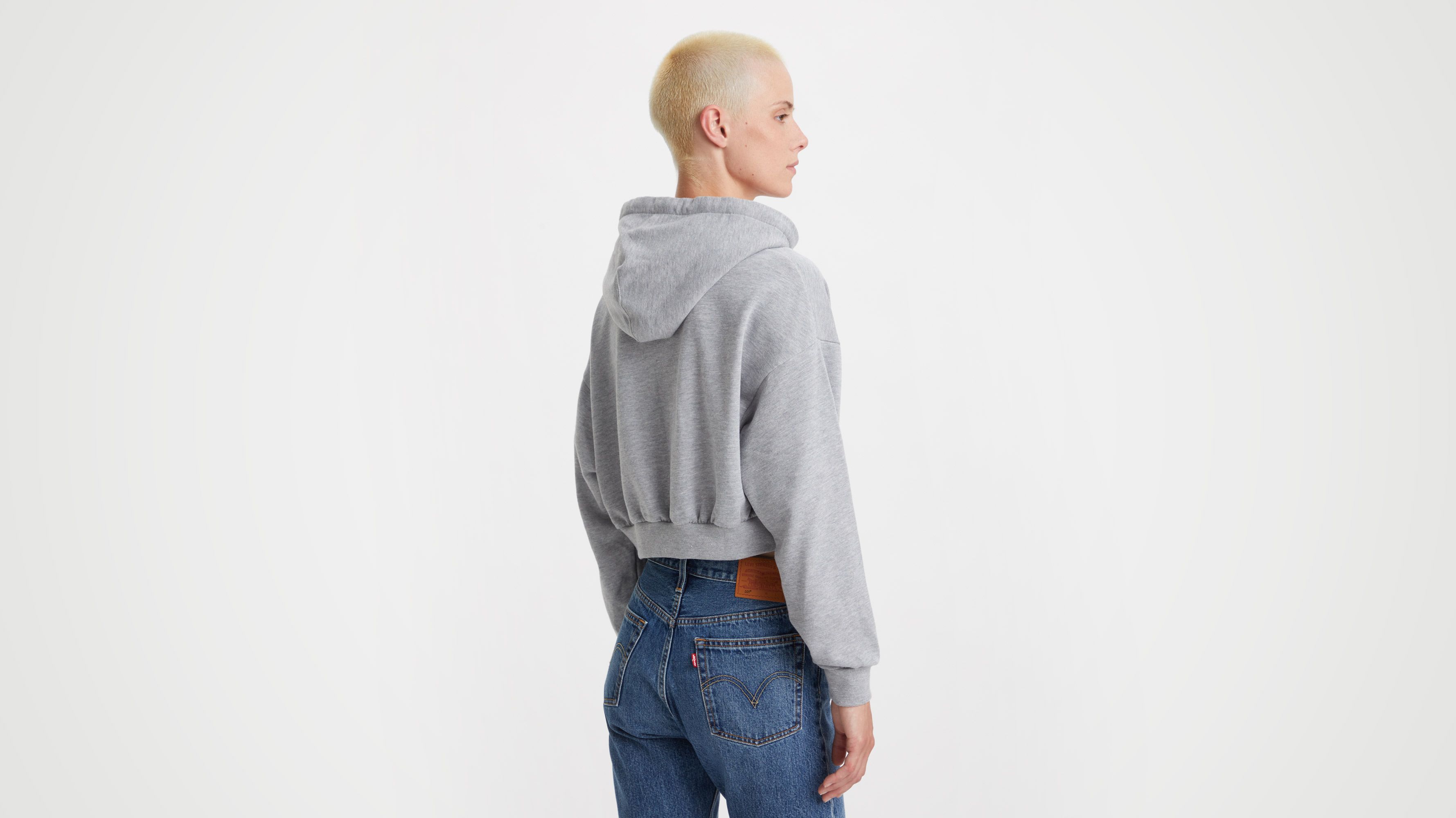 Sweat à capuche graphique Laundry Day - Starstruck Heather Grey Burnt Orange Lining - Gris