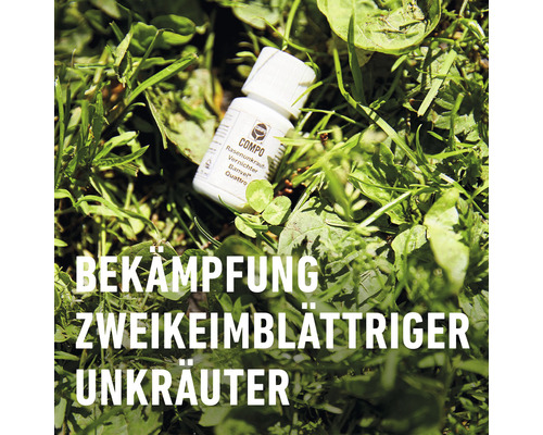Gazononkruidverdelger COMPO Banvel® Quattro 75 ml 75 m²
