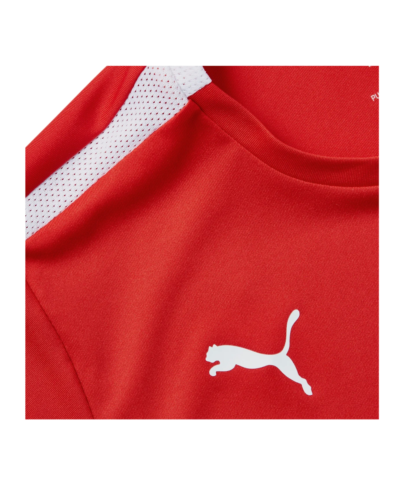PUMA teamLIGA Trikot Kids Rot F01