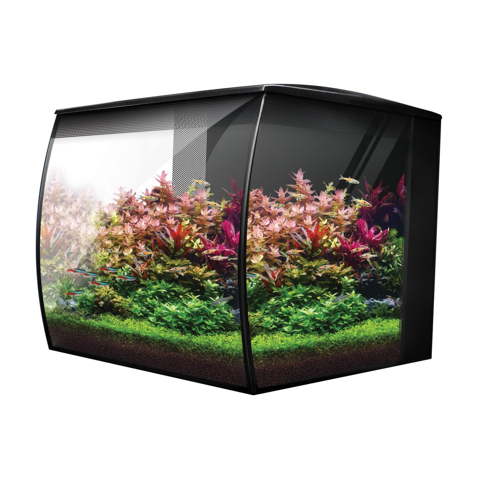 Fluval Flex 2.0 Aquariumset 34L Zwart