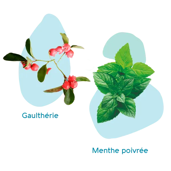 Naturative Articulações e Músculos Roll-on Orgânico 100ml