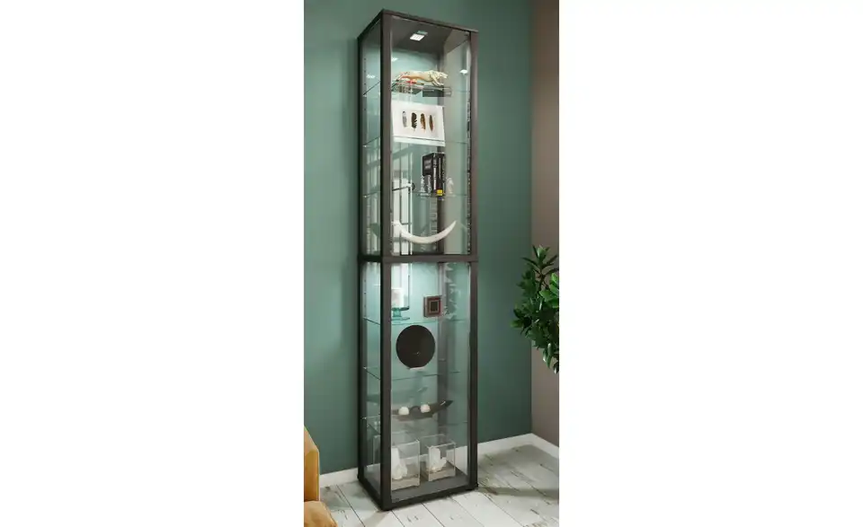 Vitrine