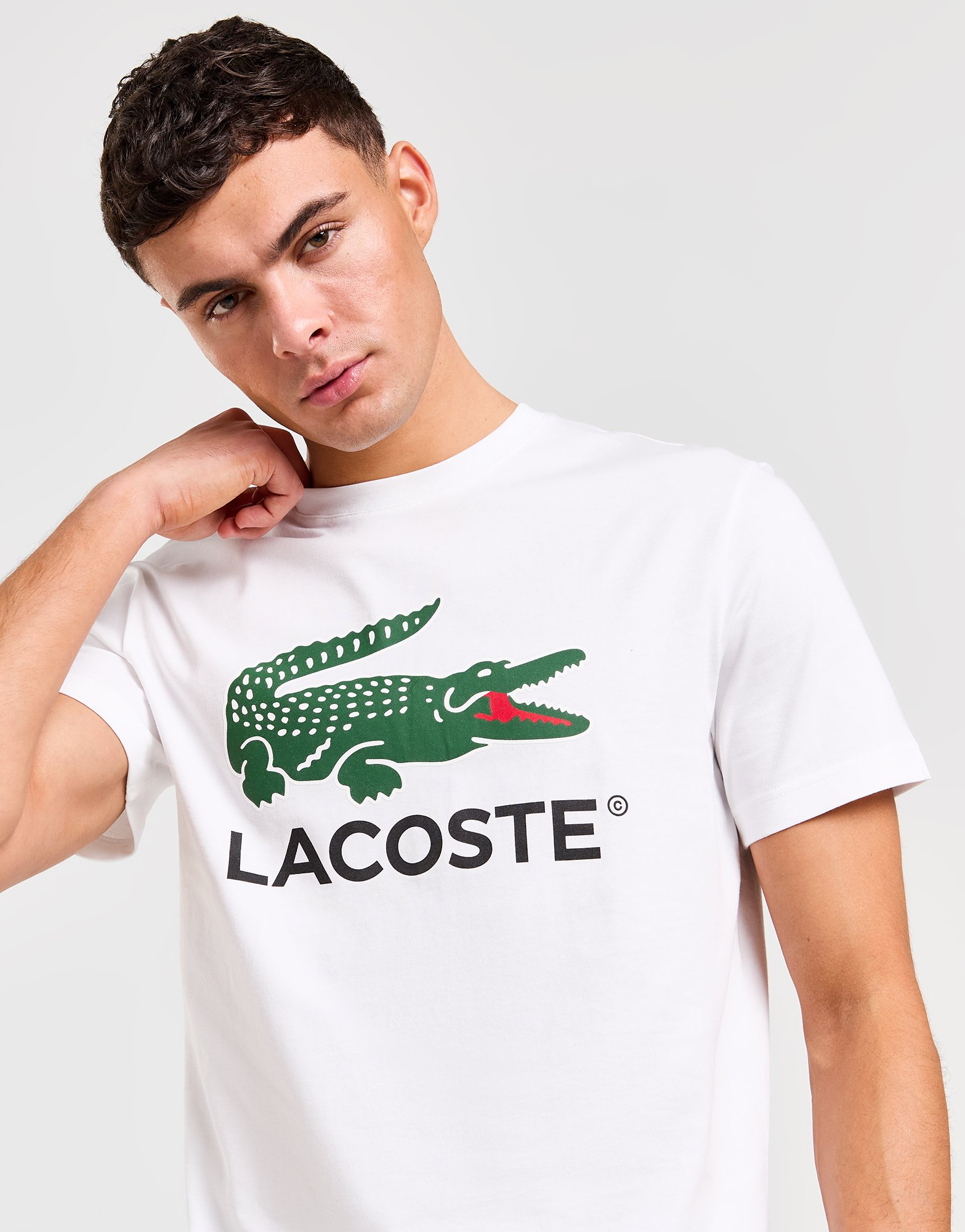 Lacoste T-shirt Homme