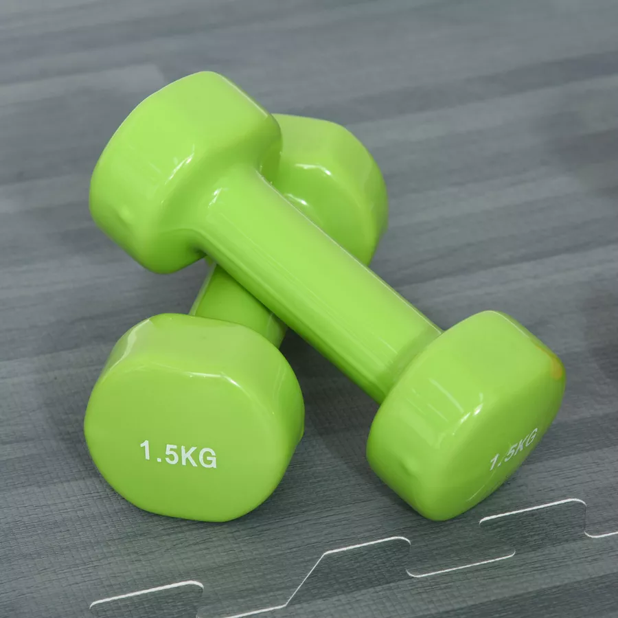 HOMCOM Hantel Set 6 kg bunt