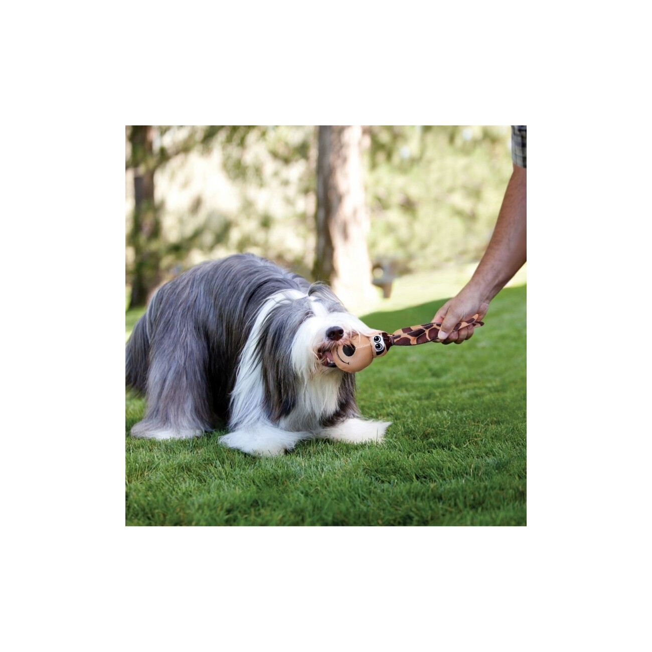 KONG Wubba Langohr S