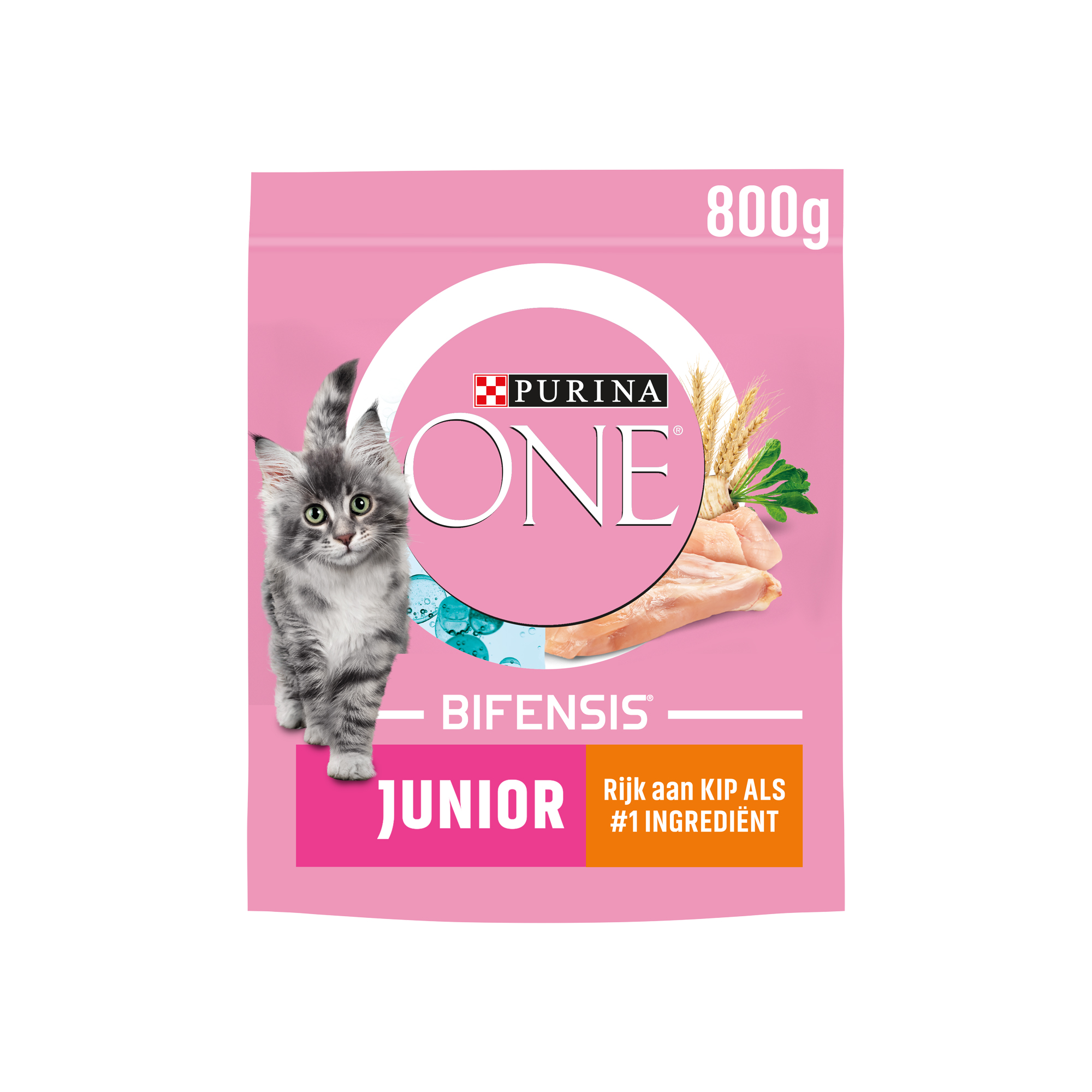 Purina ONE Junior