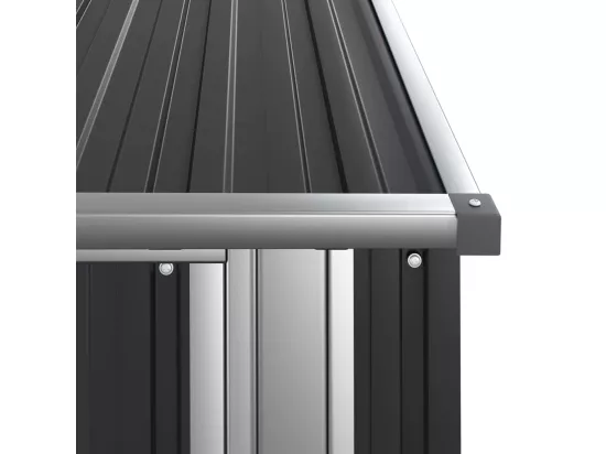 Abri de jardin Anthracite 118,5x97x209,5 Acier galvanisé