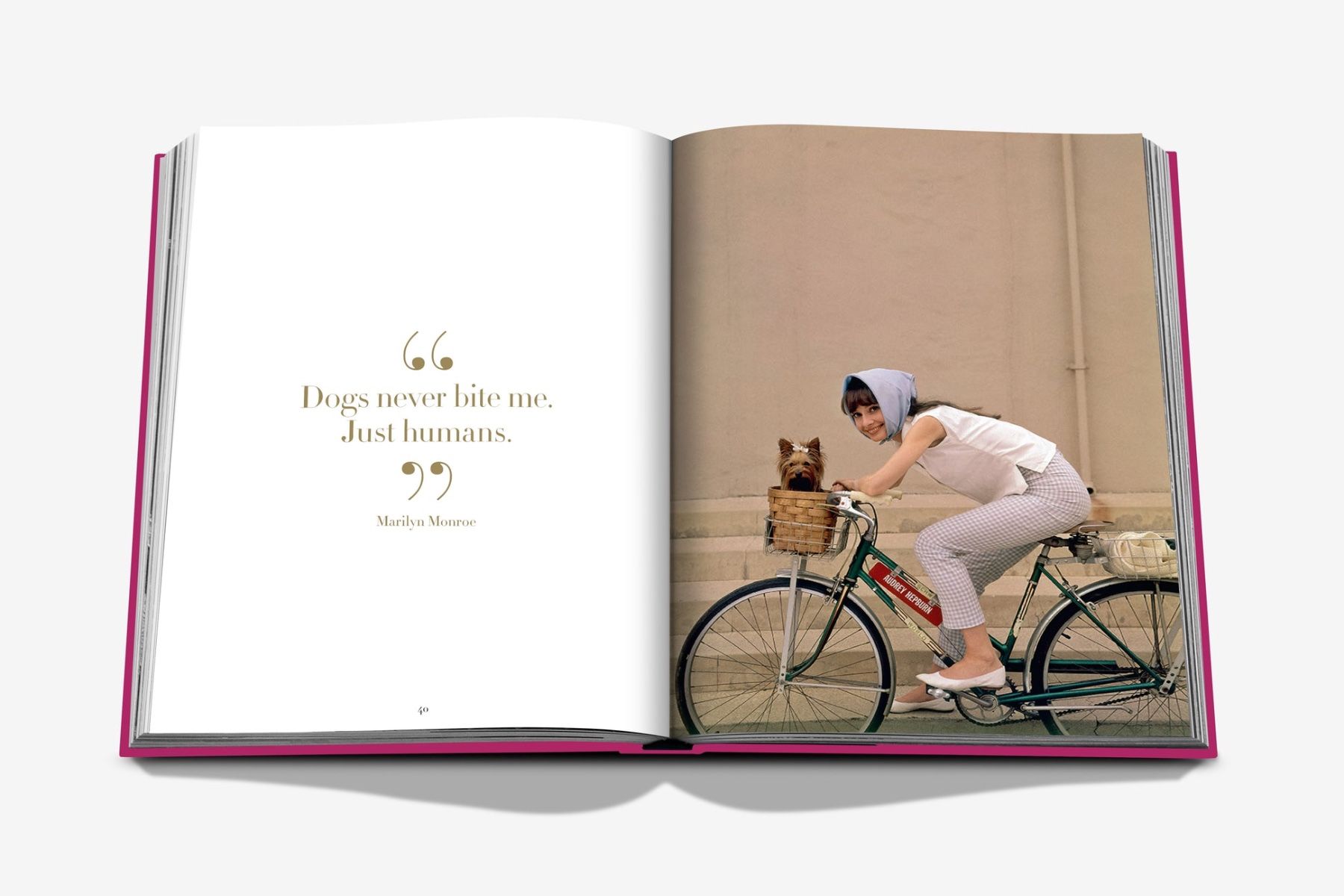 Assouline Chic Dogs