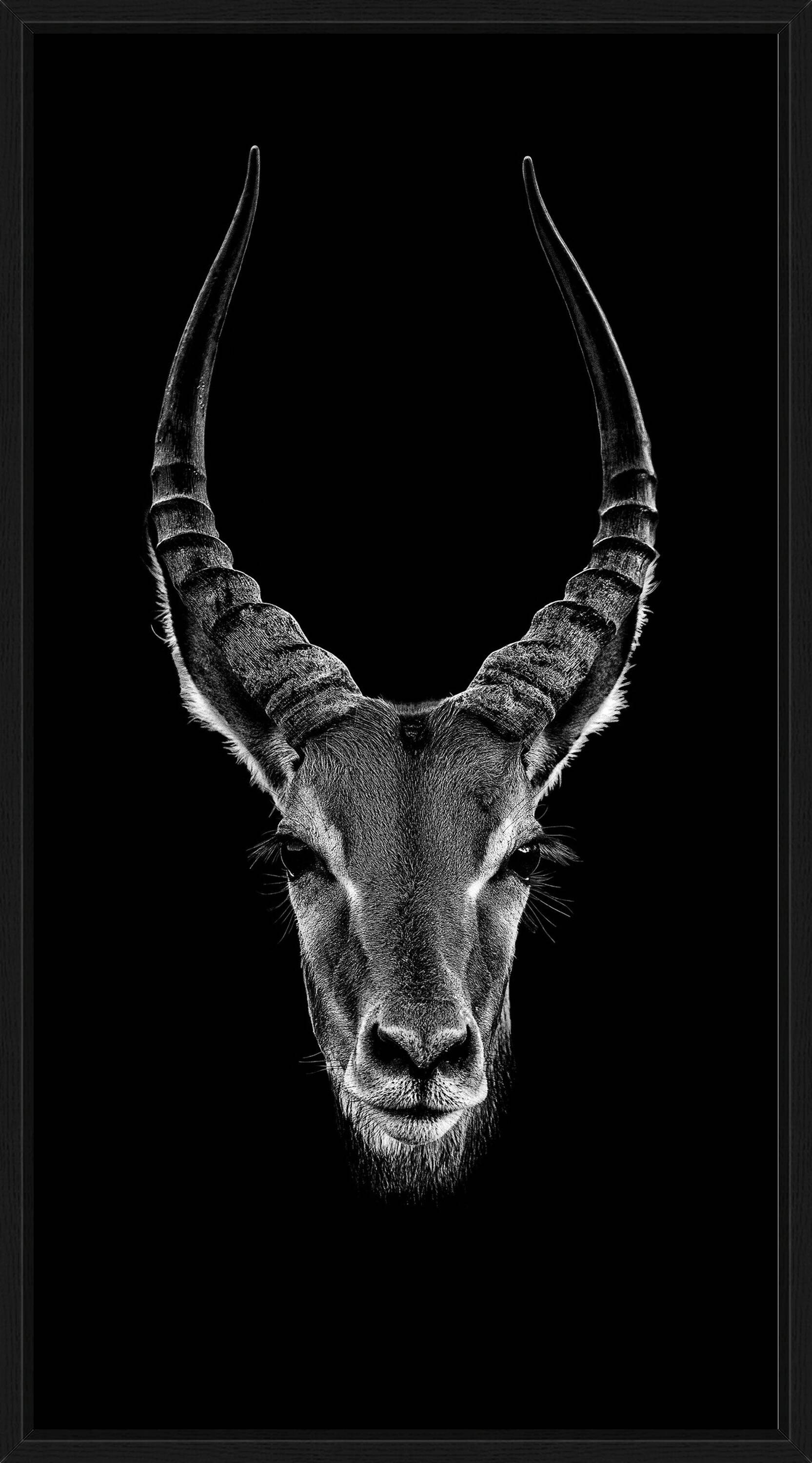 Gioja by Claudio Gotsch - Limited Edition. Edition of: 150. Signed.