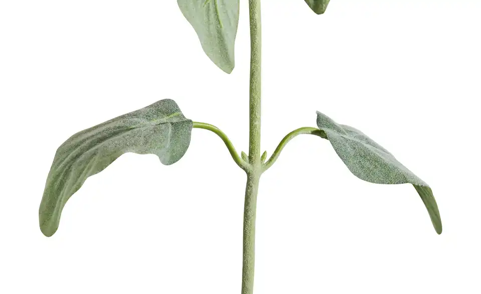Kunstblume Monarda