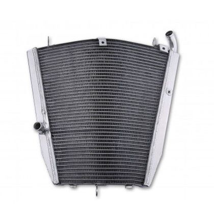 Radiateur Brazoline A EAU ADAPTABLE