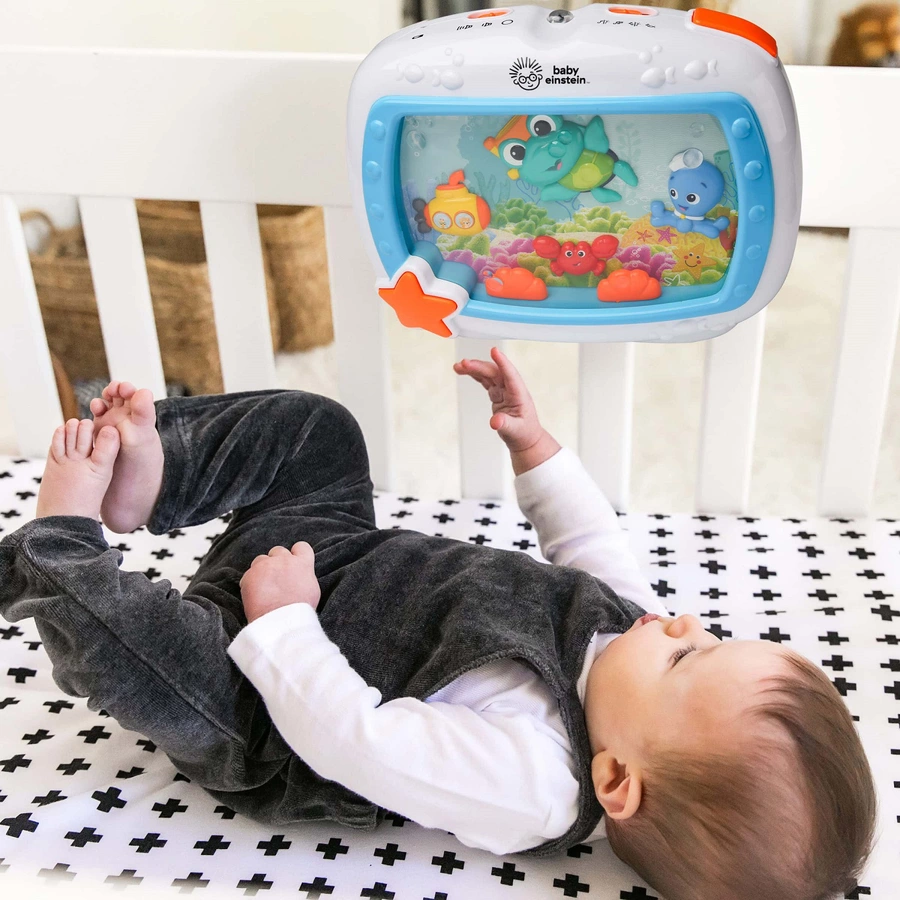 Baby Einstein Aktivitätsspielzeug mit Meerestieren