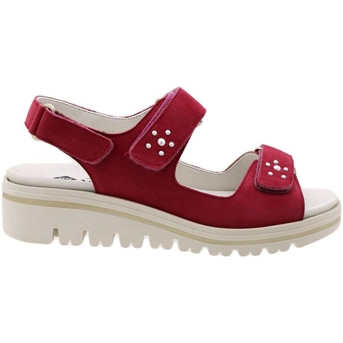Piesanto - 180781 Rosa