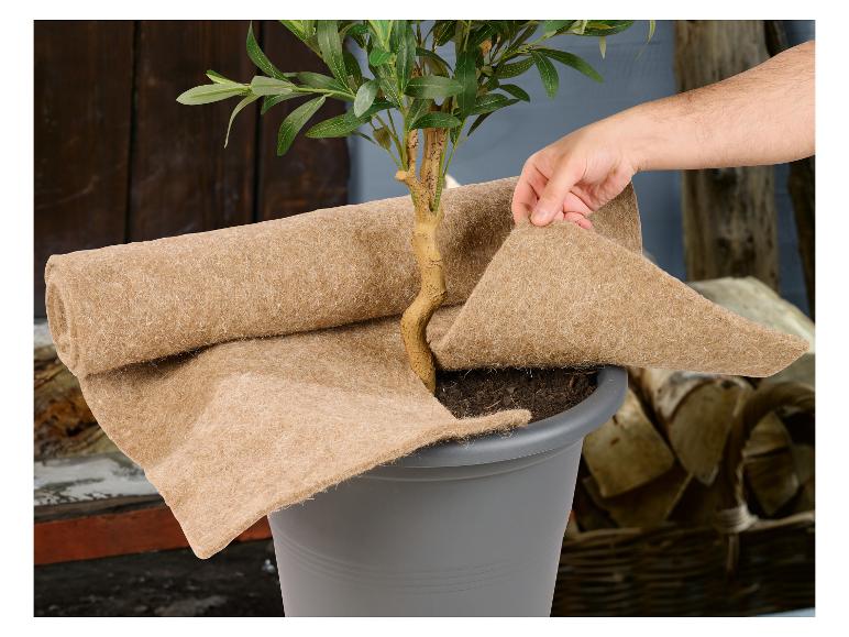 Vorstbescherming voor planten