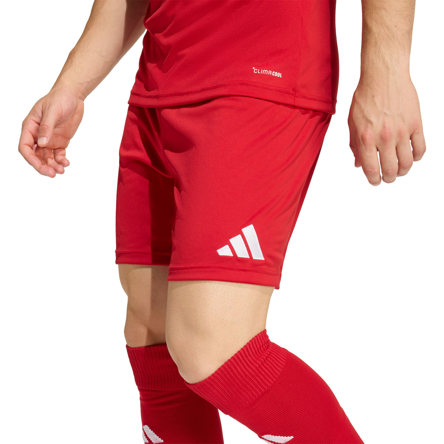 adidas Entrada 26 Training Short