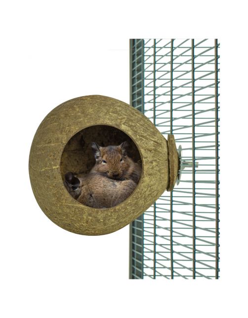 Back Zoo Nature Coconut House - Vogelspeelgoed - per stuk