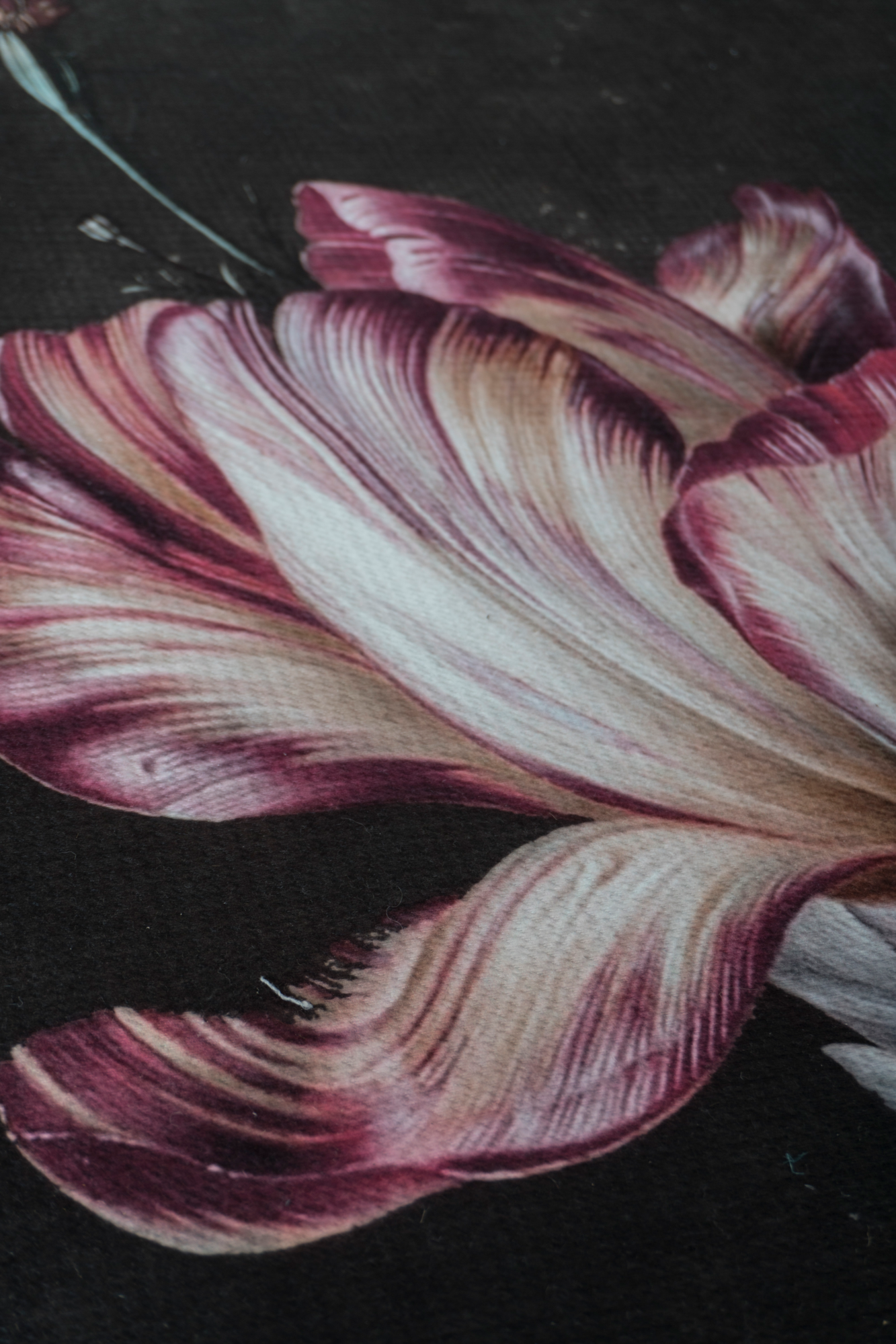 Vloerkleed Flores 200 x 290 cm