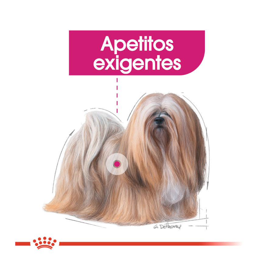 Ração Royal Canin Exigent Mini para cães