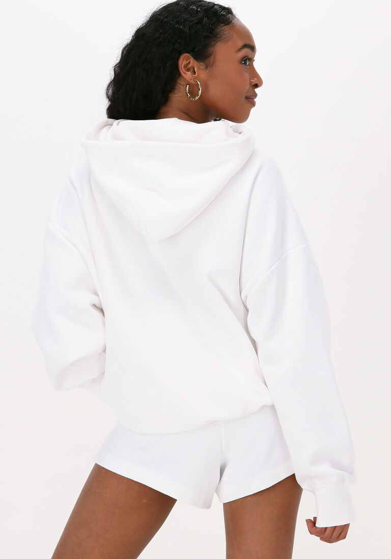 CHAMPION witte champion trui hooded sweatshirt dms plain