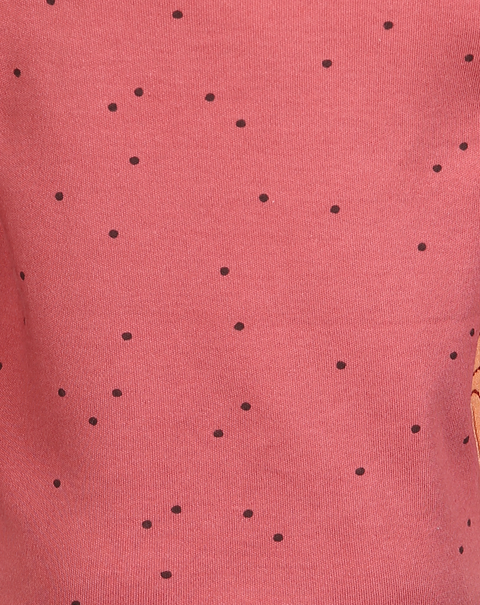 Langarmshirt EICHHÖRNCHEN in rot