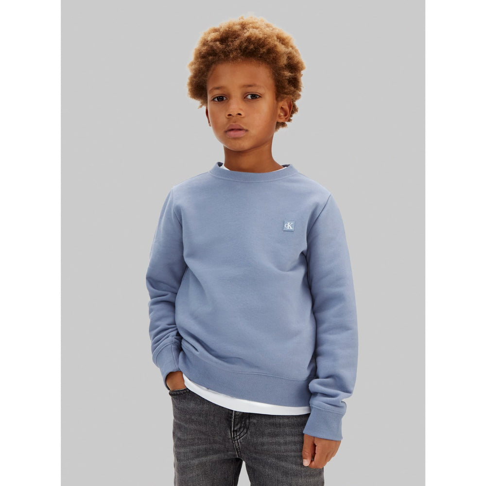 Køb Calvin Klein Infinity Mini Badge Reg Sweatshirt