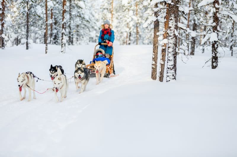 Finland: Noorderlicht kijken vanuit glazen huisje