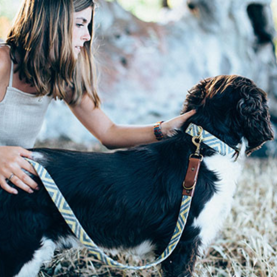 Coleira Barking Gaucho Scud feita à mão para cães