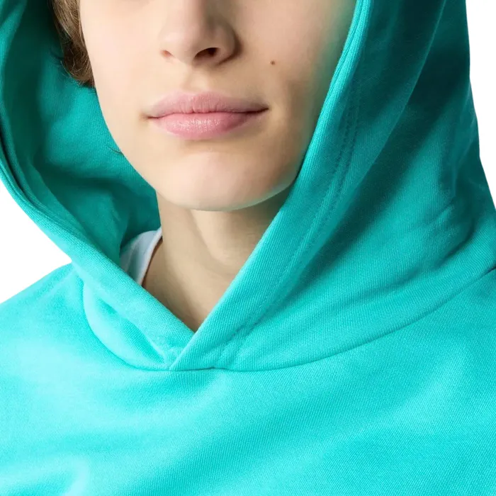 The North Face Drew Peak Hoodie Junior