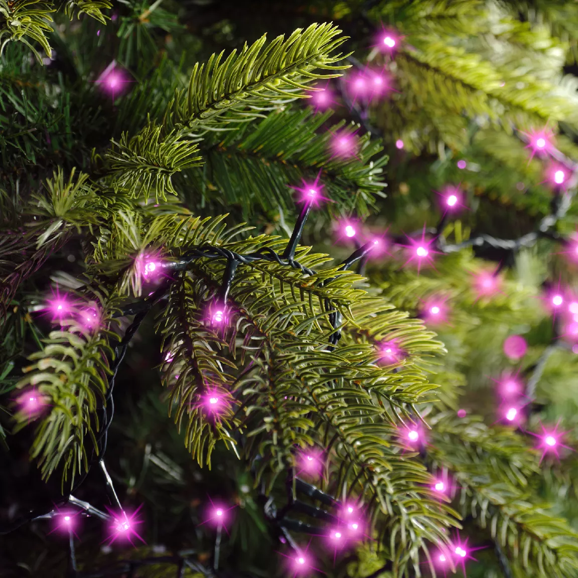 Guirlande lumineuse 34 m 1500 LED câble vert Luxe Rose