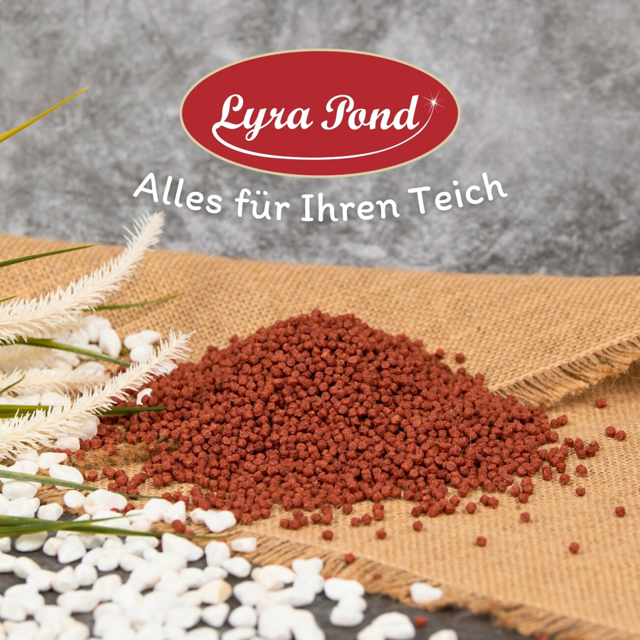 Lyra Pet Lyra Pond Pond Colour Astax Pellets im Eimer 10 l