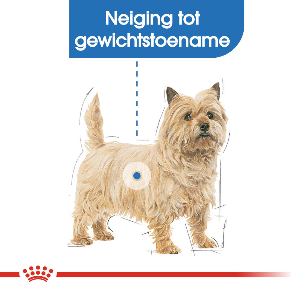Royal Canin hondenvoer Light Weight Care 85 g 12 stuks