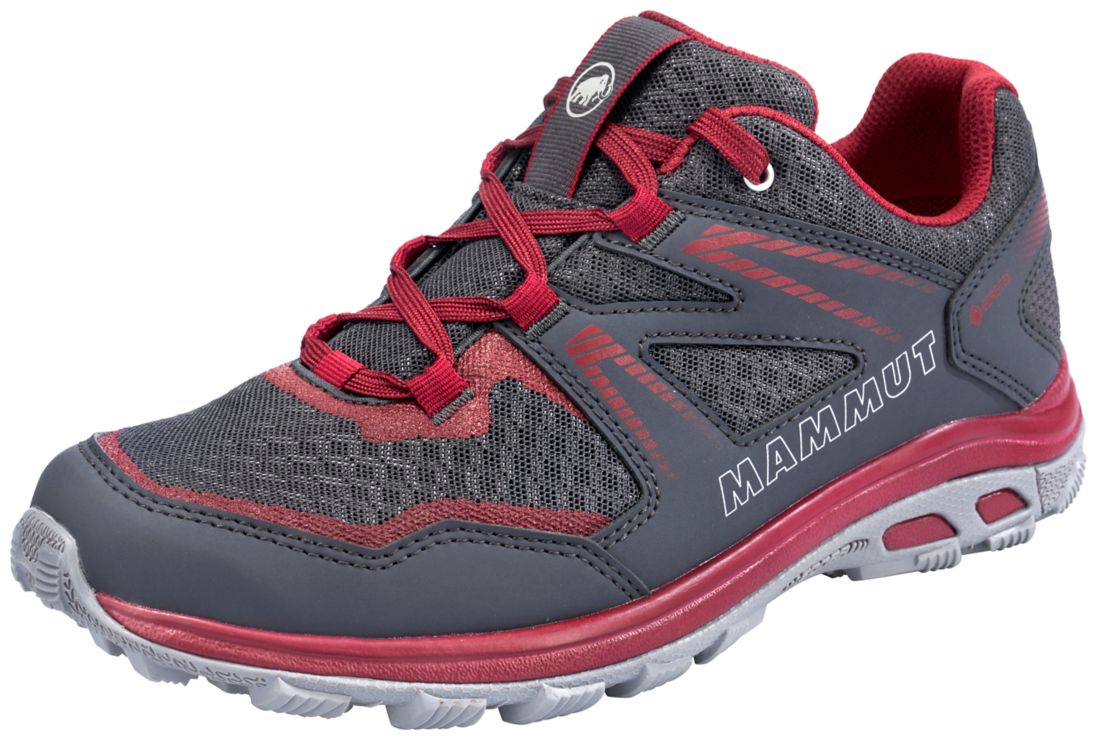 MammutTerrion II Low GTX - grau