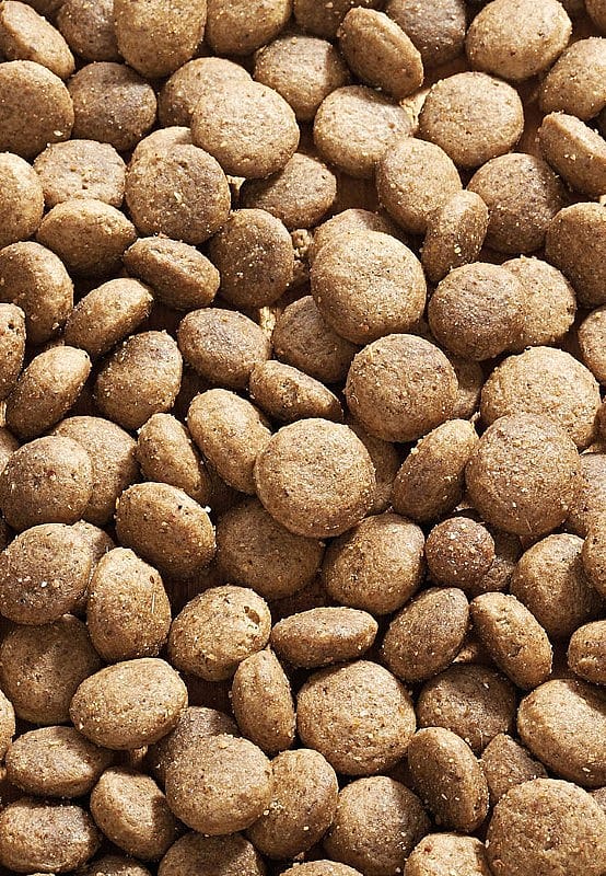 Vet-concept Salmon Pack Hond 3 kg