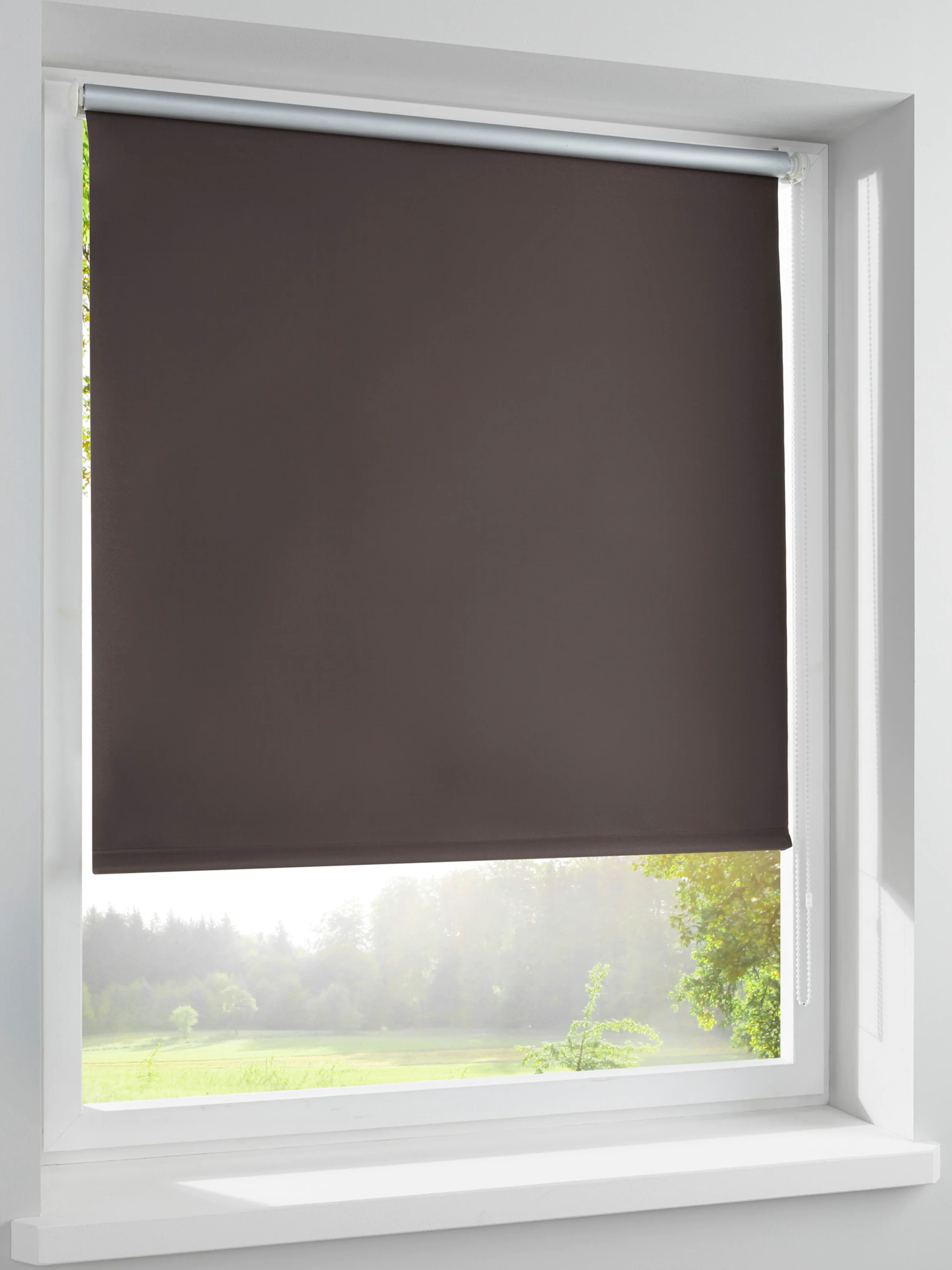 heine home Rollo in mocca