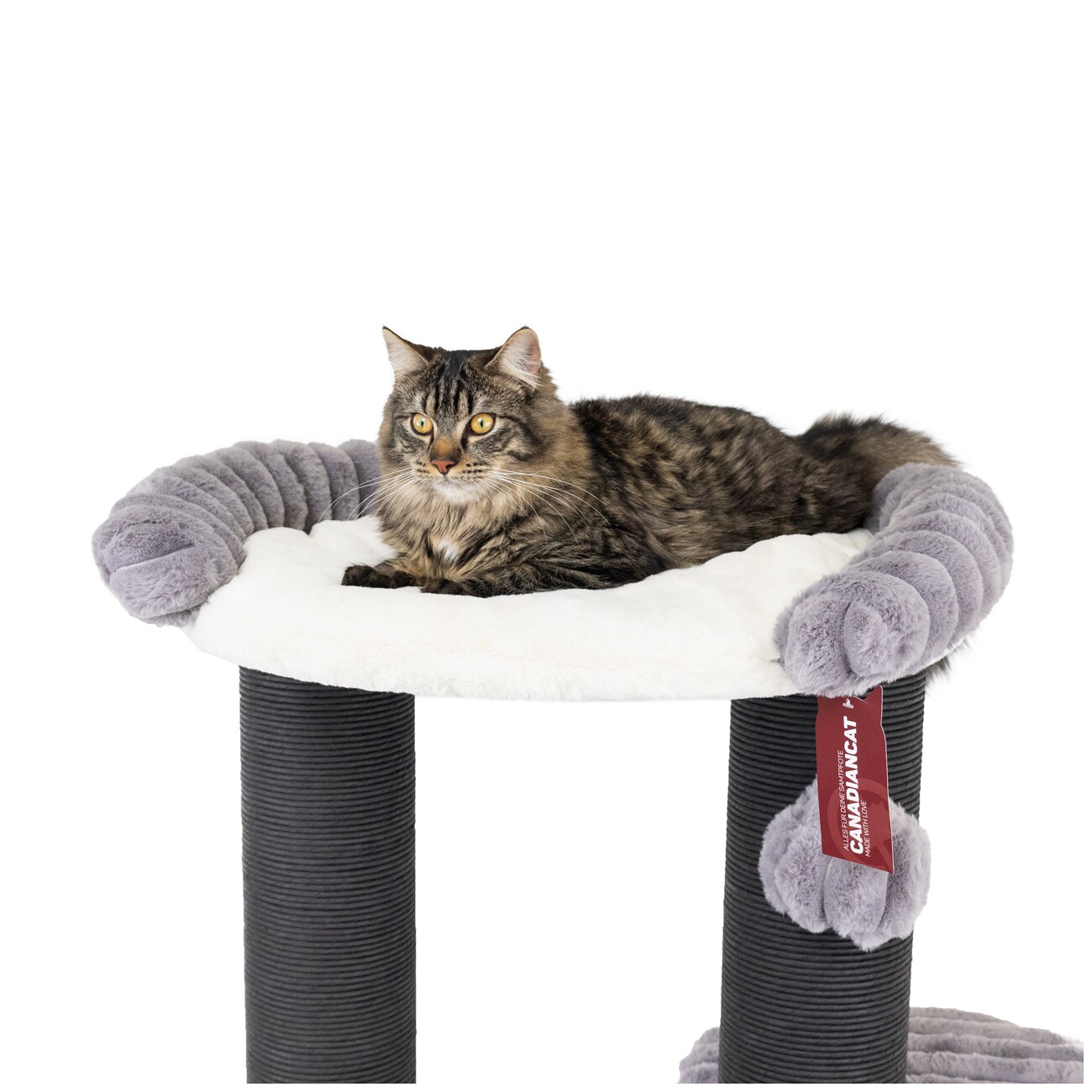 Canadian Cat Company Kratzbaum Edward