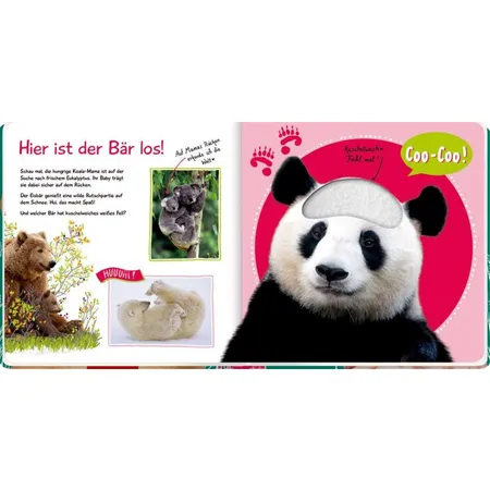 Coppenrath Verlag Fühl mal hier, kennst du das Tier? Wilde Tiere (Fühlen & begreifen)