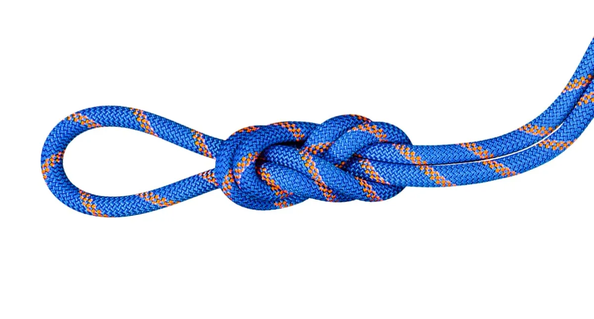 Mammut 9.0 Alpine Sender Dry Rope Dry 60m Standard/Ice/Sunrise