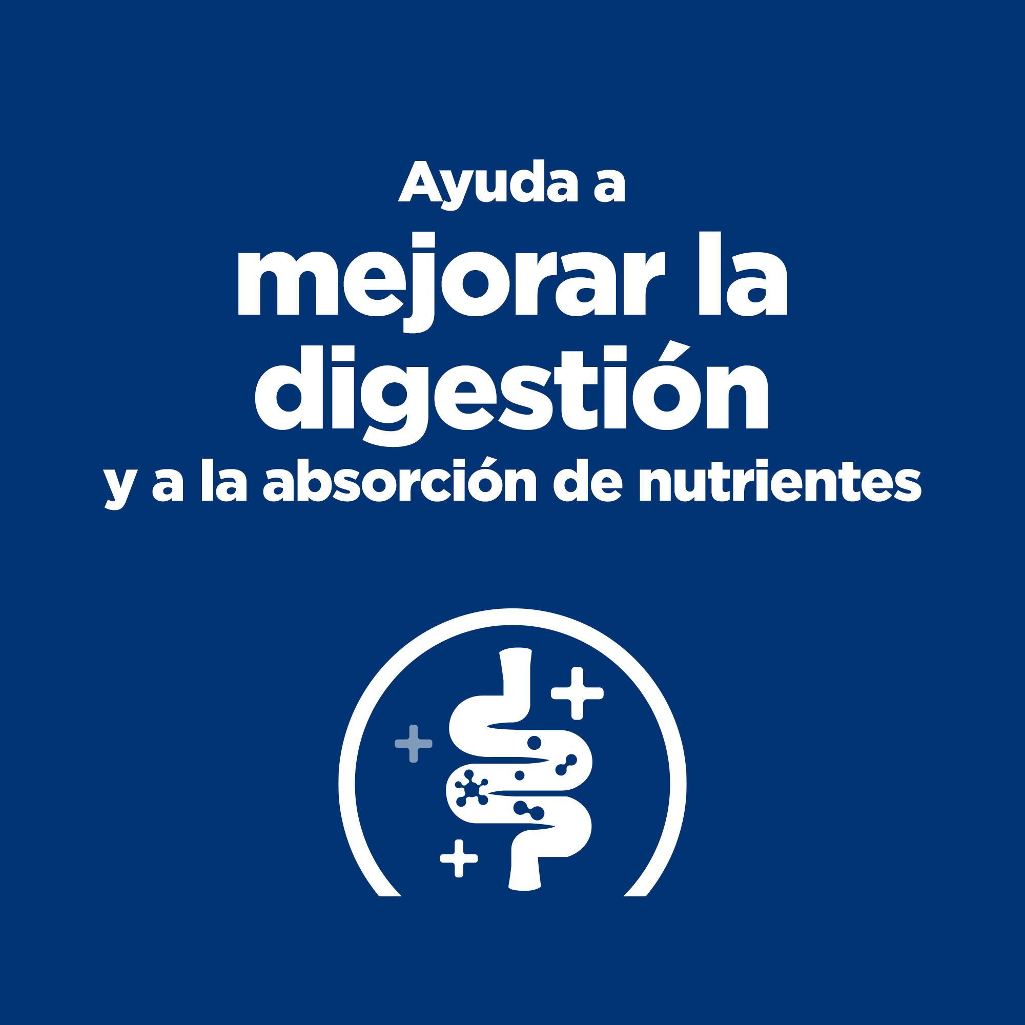 Hill's Prescription Diet Digestive Care lata para perros