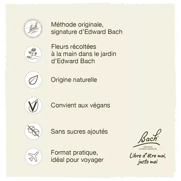 Florais de Bach Originais - Maçã Silvestre 20ml