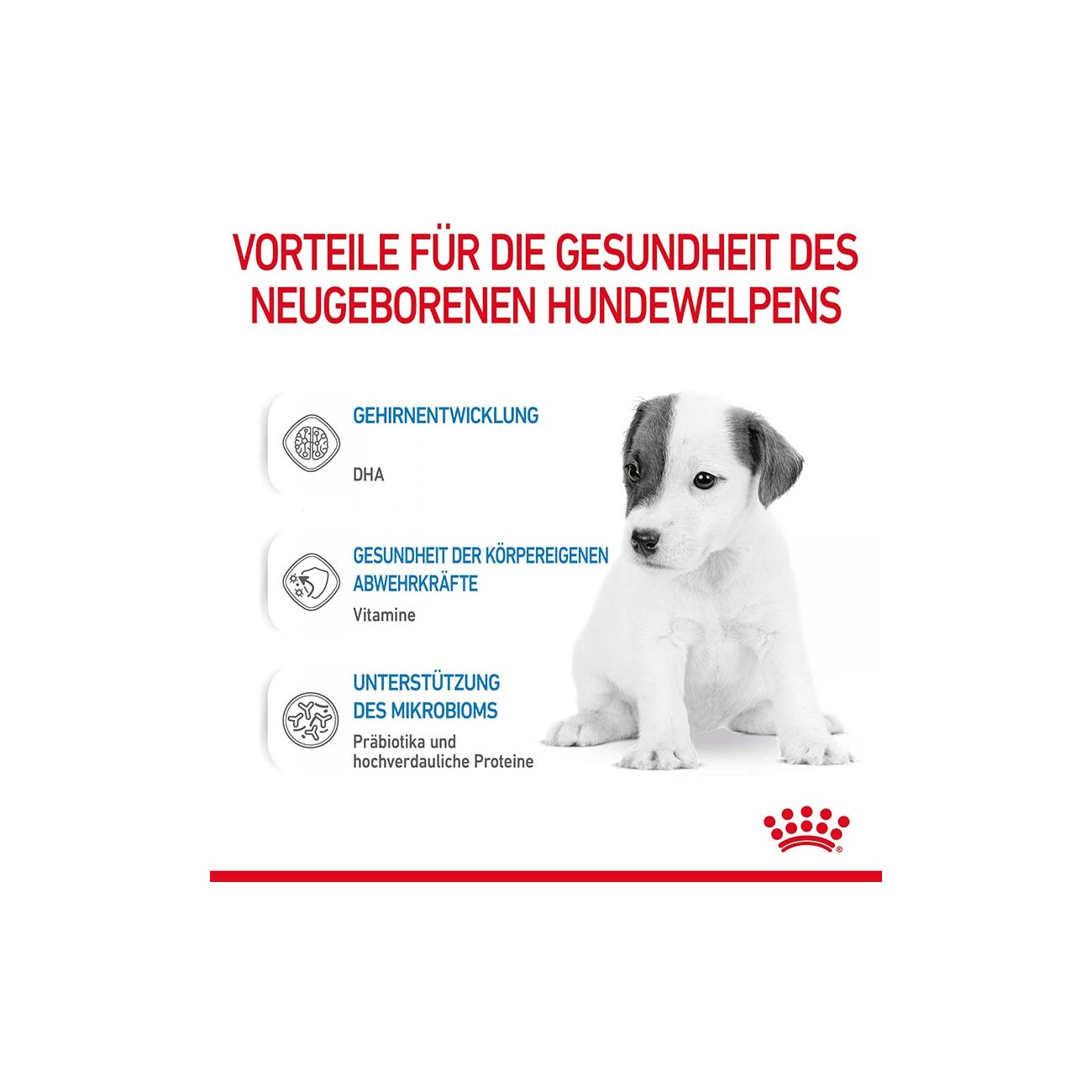 ROYAL CANIN Babydog Milk Michpluver 400 g