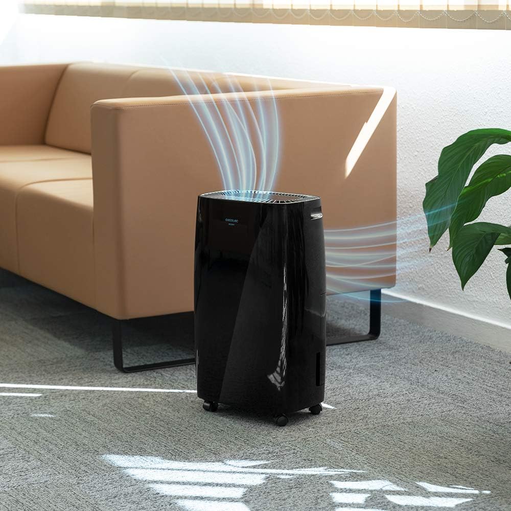 Cecotec Big Dry 4000 Expert Luftentfeuchter mit Timer 24 h, 10 L/Tag, herausnehmbarer Tank 2,5 Liter, LED-Anzeige, Schwarz (Schwarz, BigDry 4000 Expert Black)