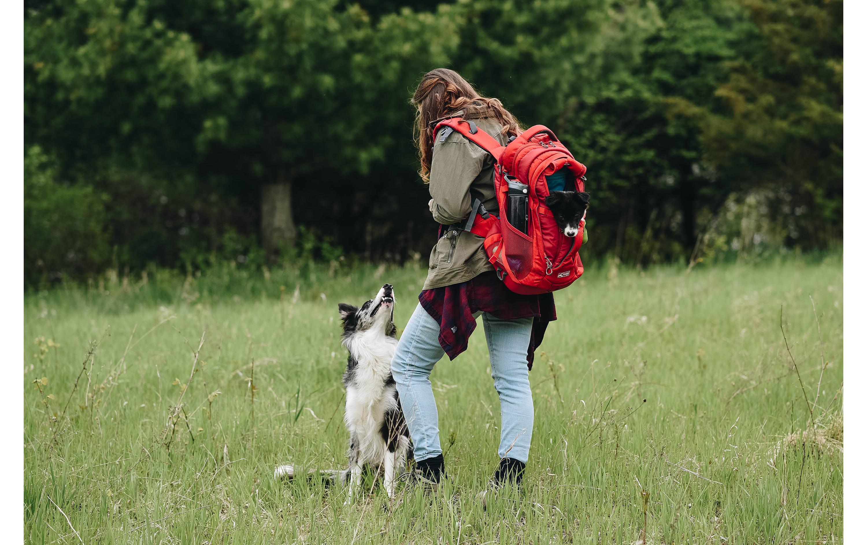 Tiertransport-Rucksack G-Train K9, Chili Red<br>Sportlicher Rucksack für Hunde